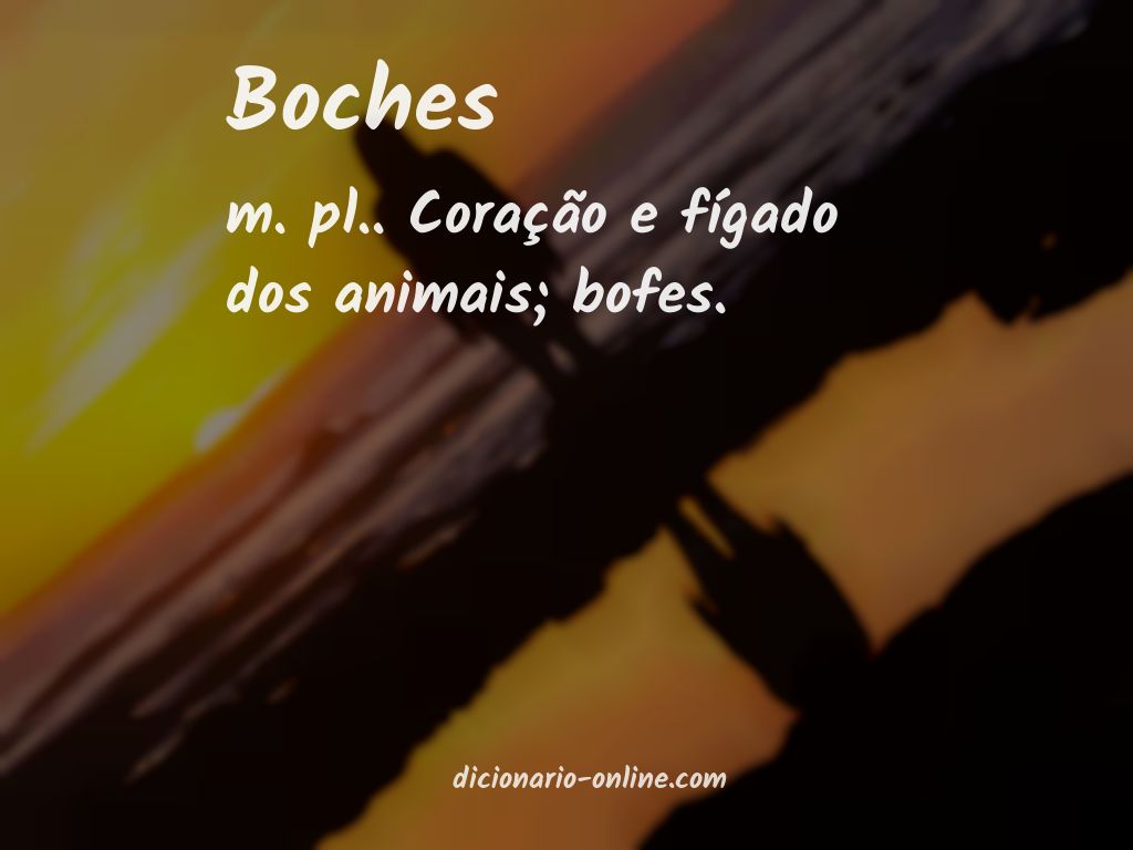 Significado de boches