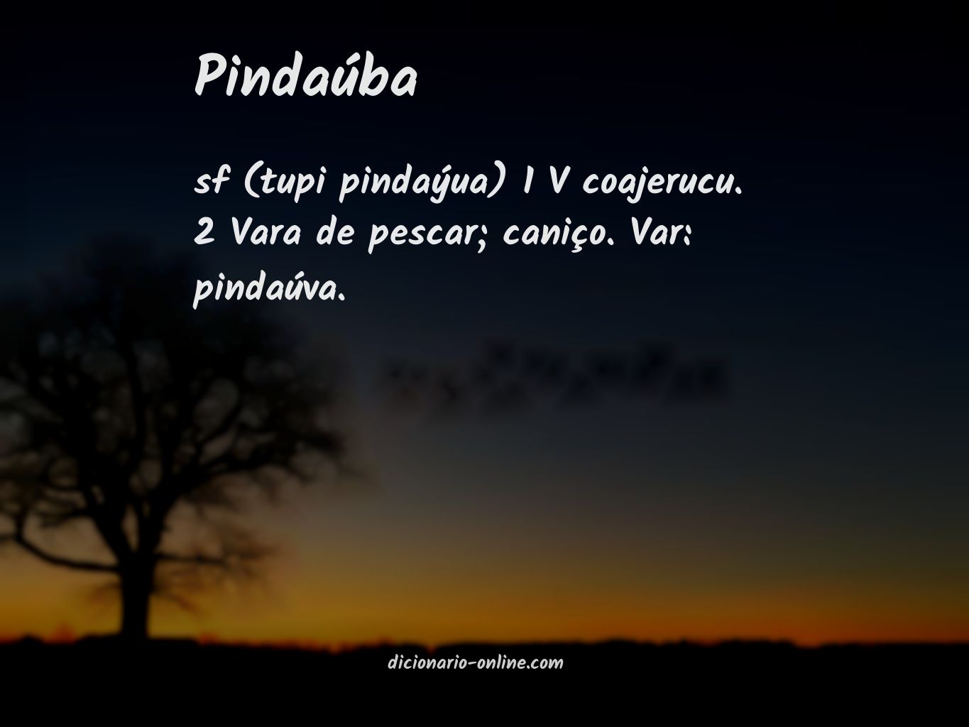 Significado de pindaúba