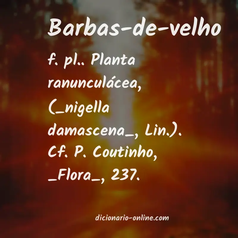 Significado de barbas-de-velho