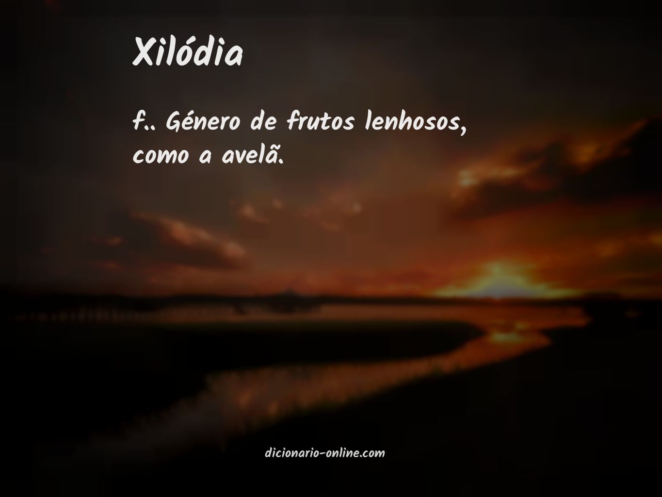 Significado de xilódia