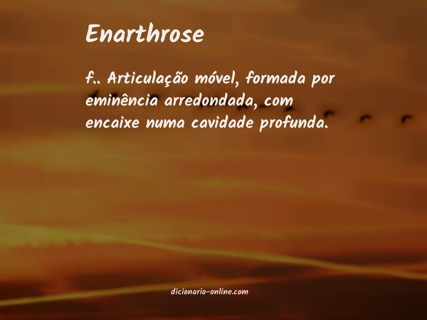 Significado de enarthrose