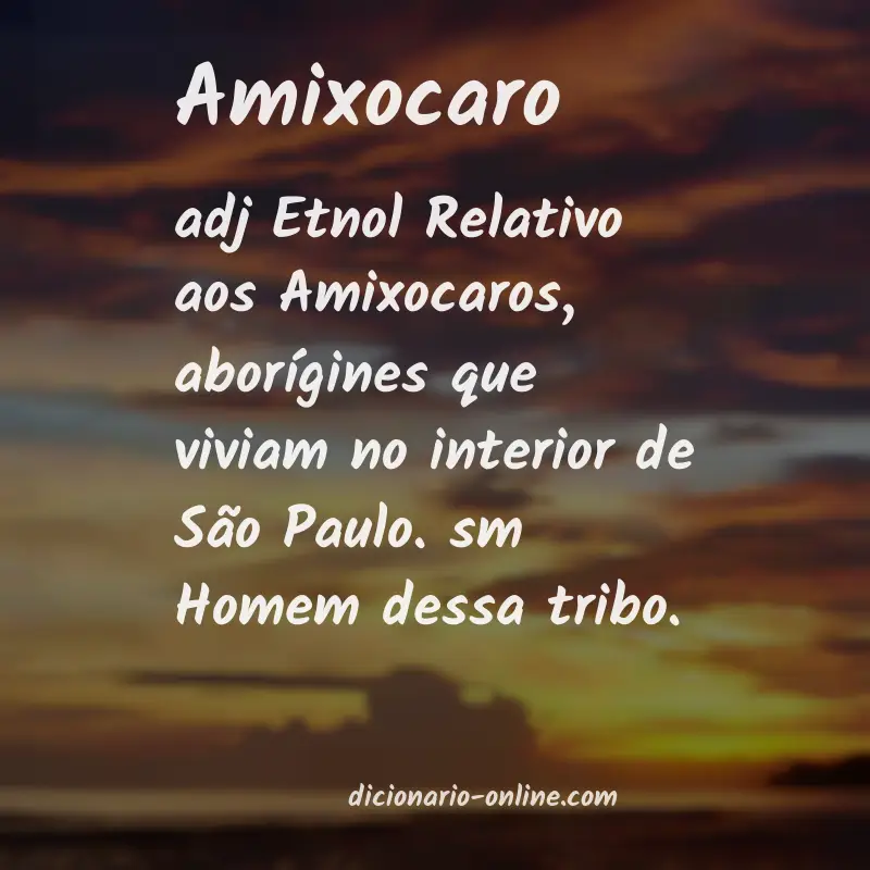 Significado de amixocaro