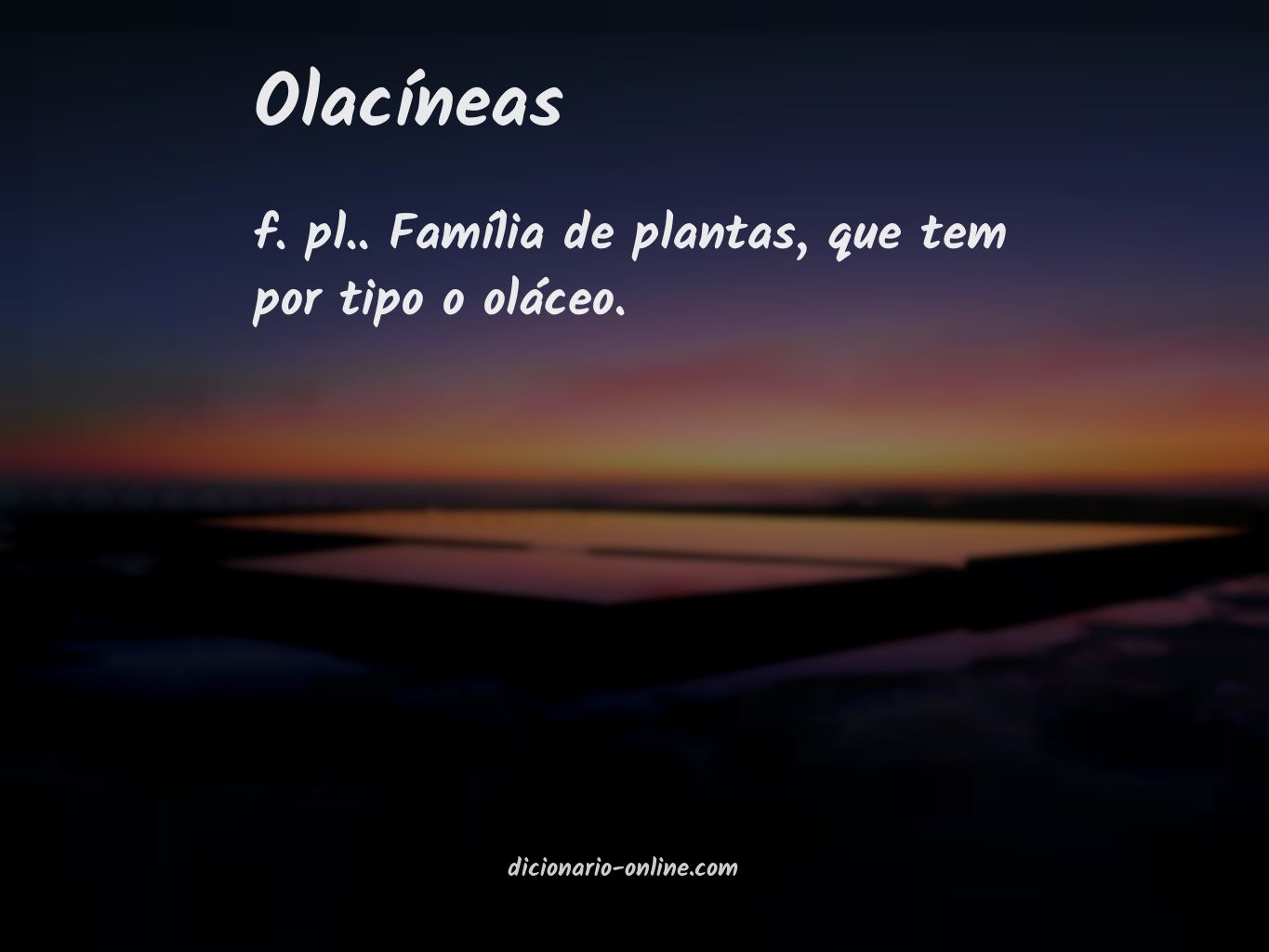 Significado de olacíneas