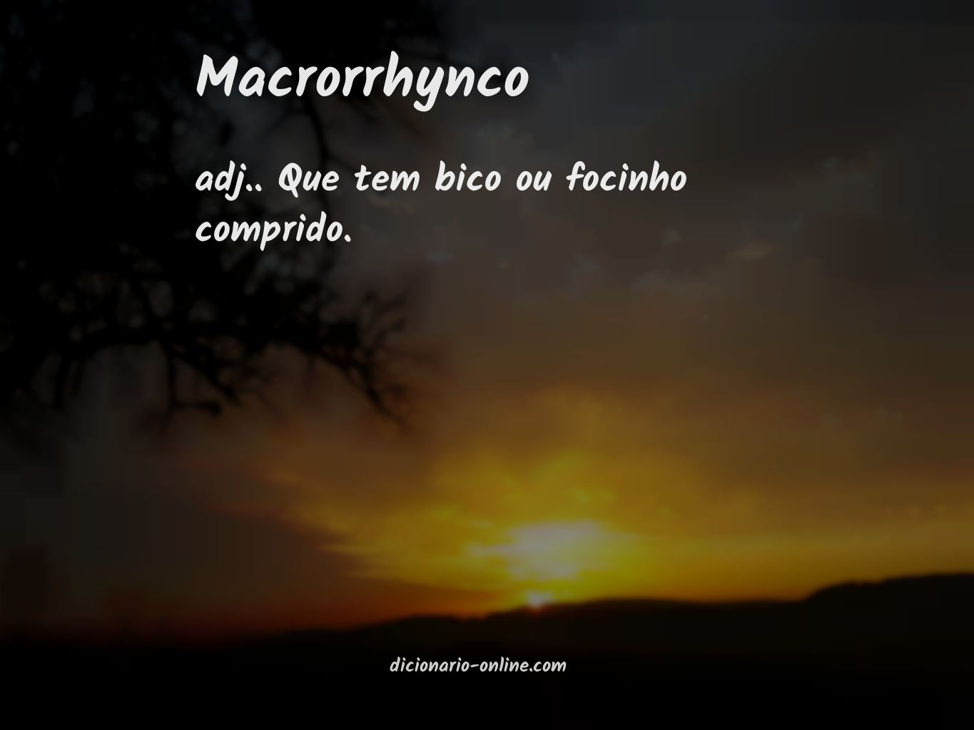 Significado de macrorrhynco