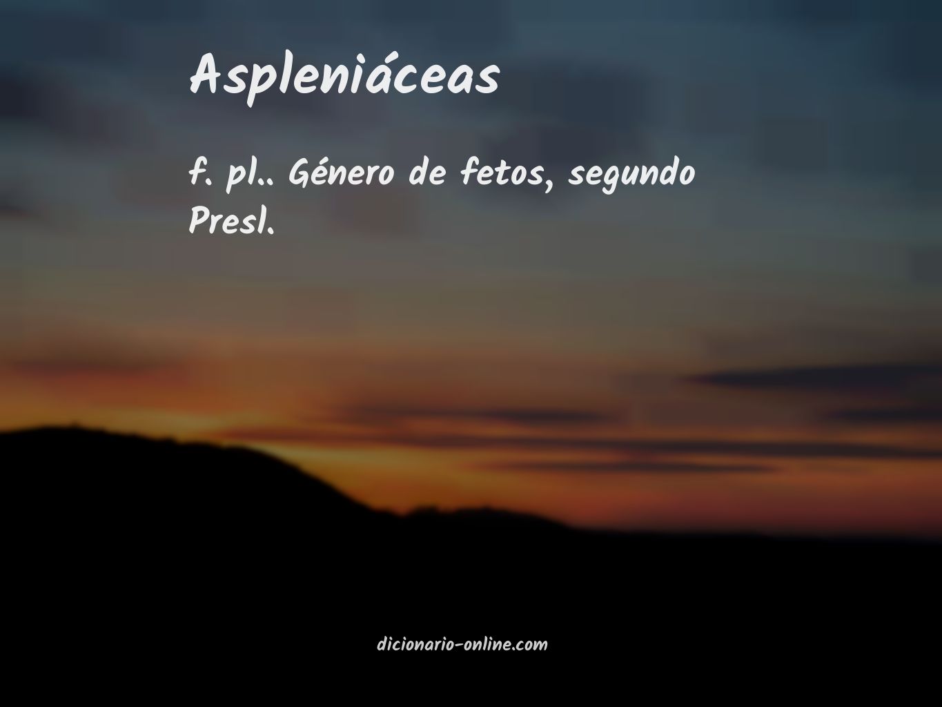 Significado de aspleniáceas