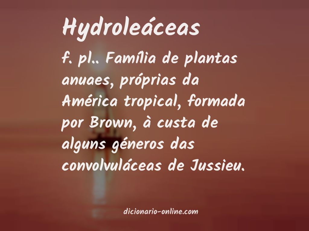 Significado de hydroleáceas