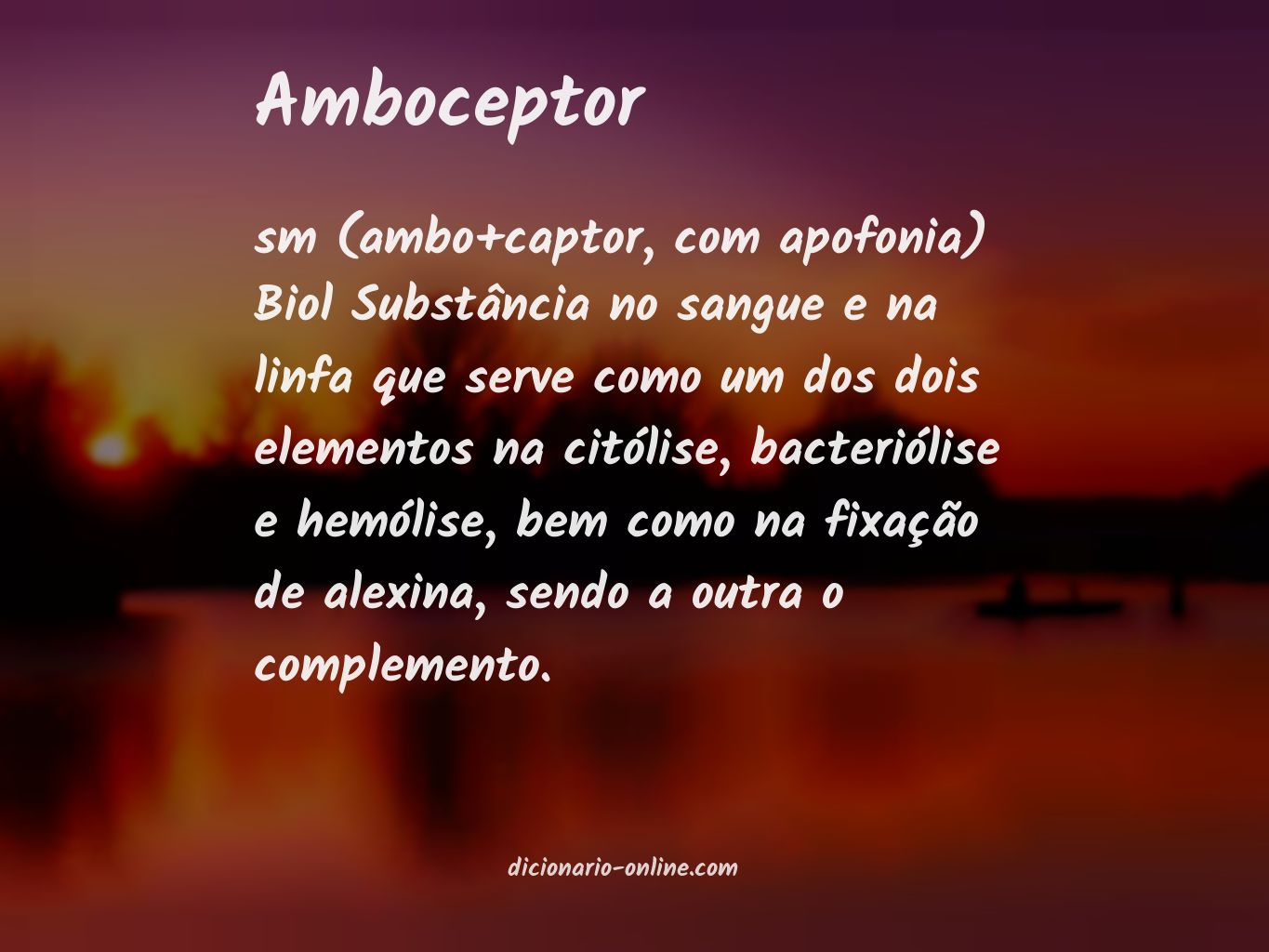 Significado de amboceptor