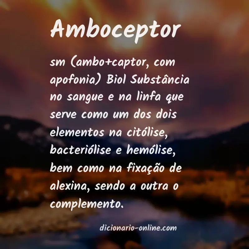 Significado de amboceptor