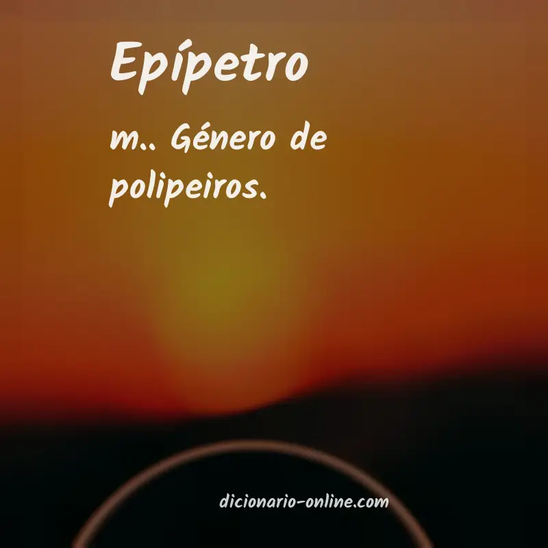 Significado de epípetro