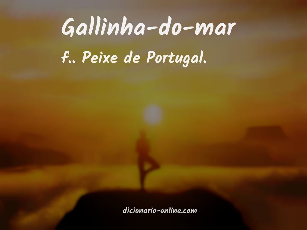 Significado de gallinha-do-mar