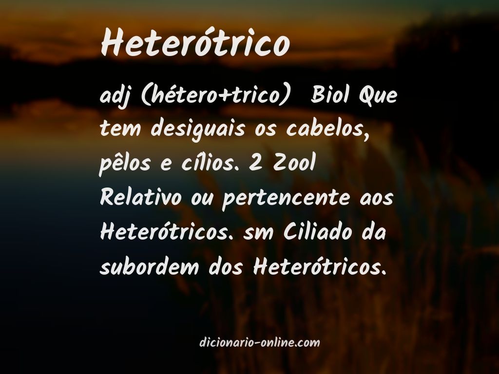 Significado de heterótrico