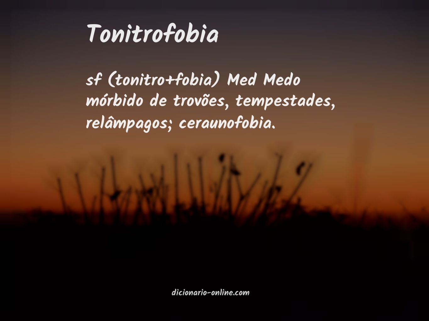 Significado de tonitrofobia