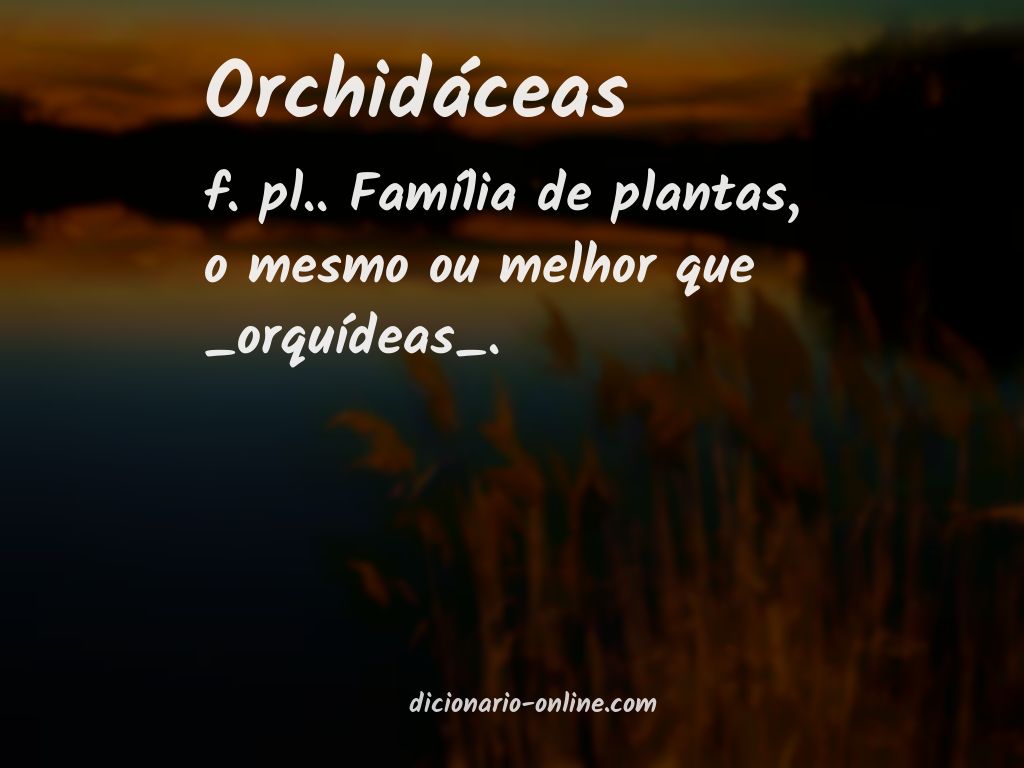 Significado de orchidáceas