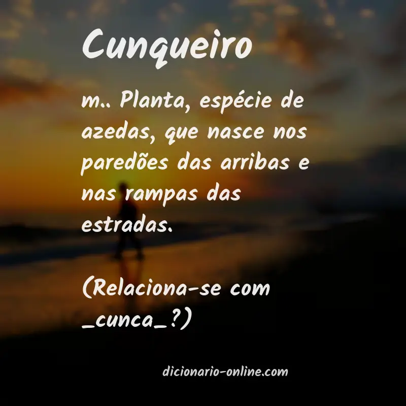 Significado de cunqueiro