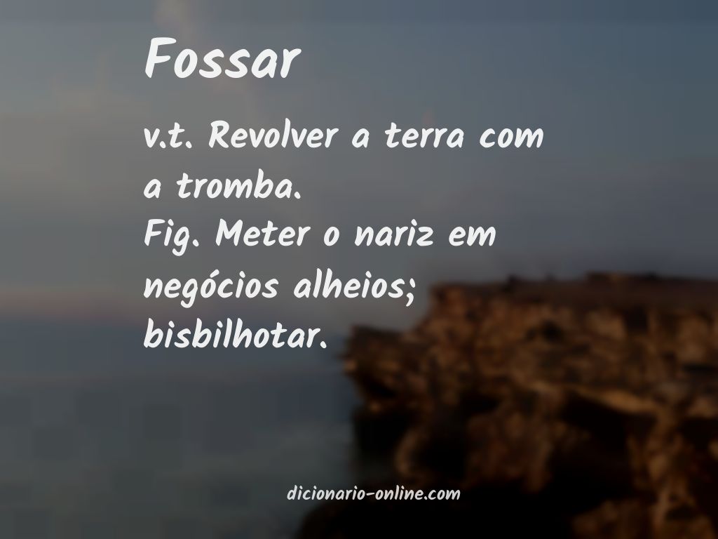 Significado de fossar