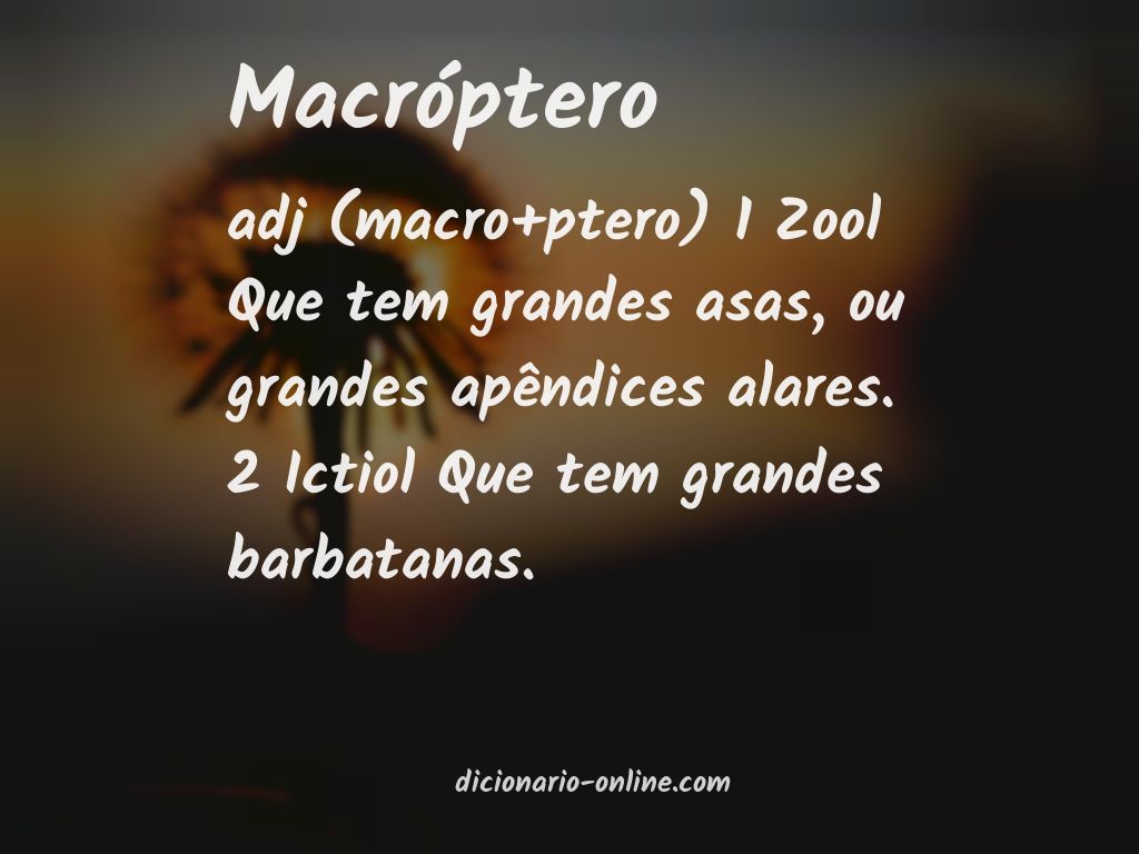 Significado de macróptero