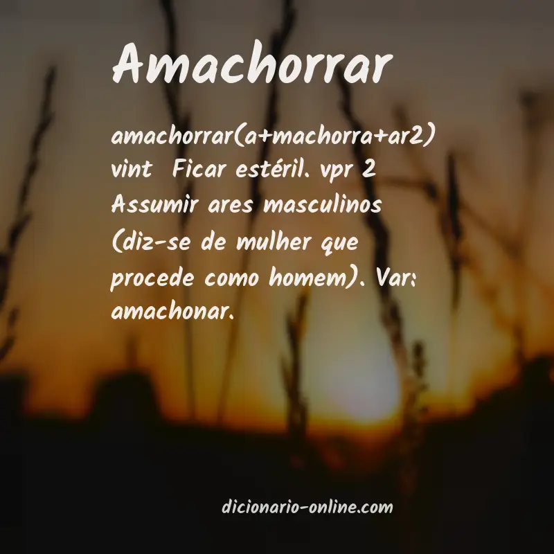 Significado de amachorrar