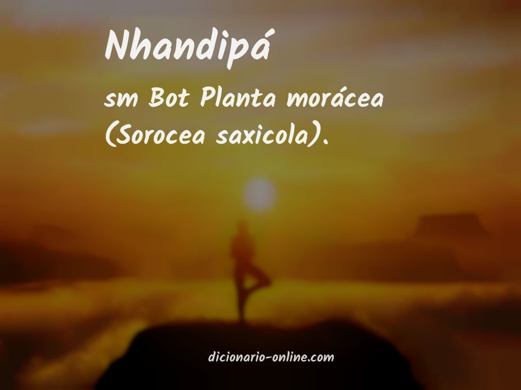 Significado de nhandipá