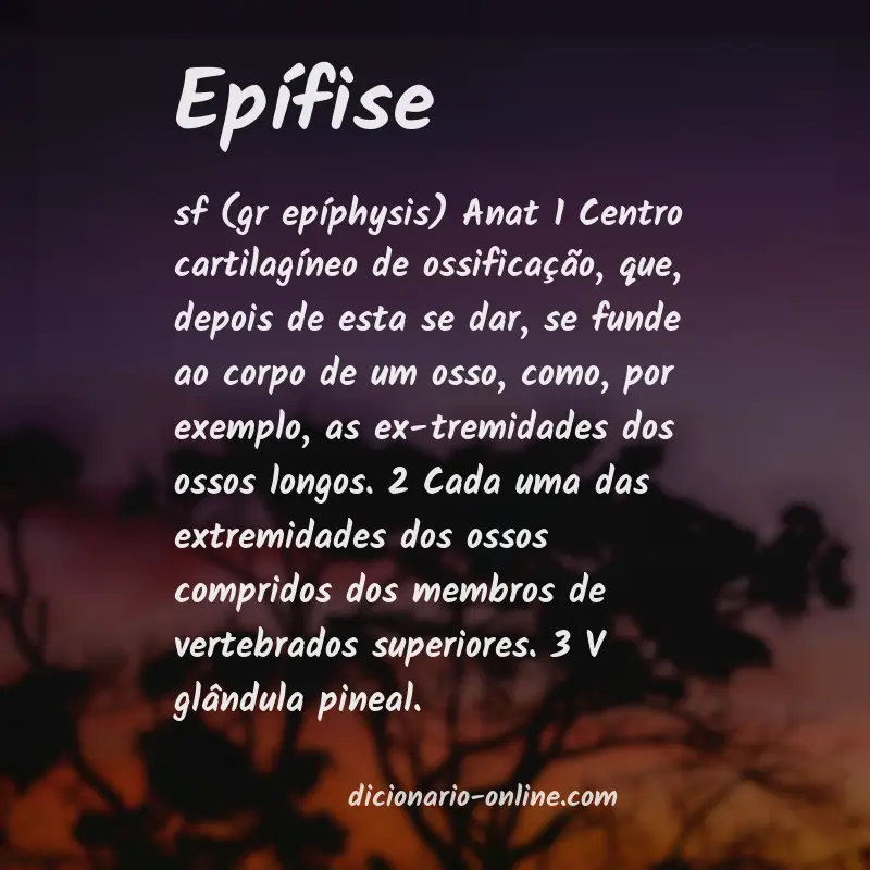 Significado de epífise