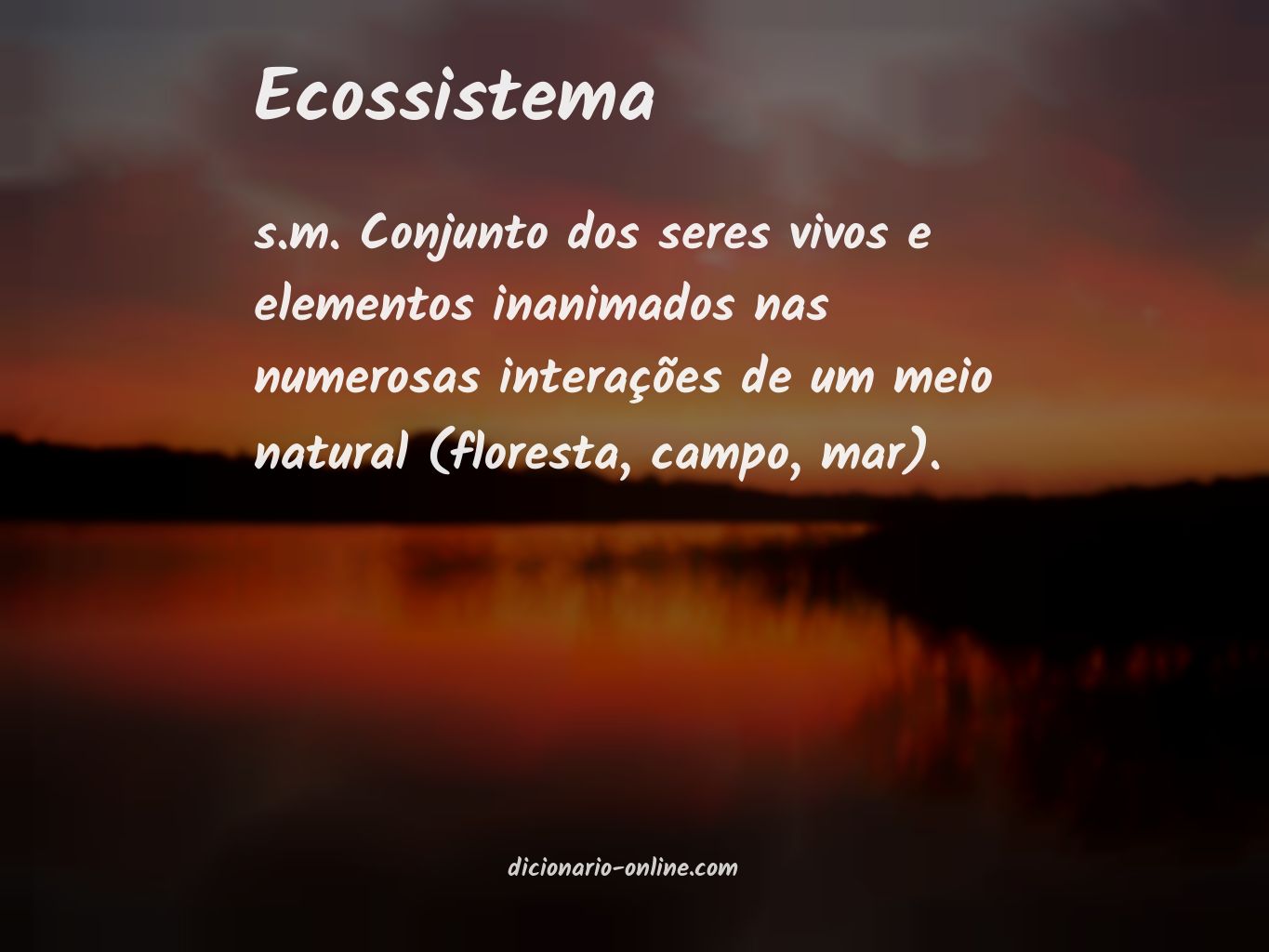 Significado de ecossistema