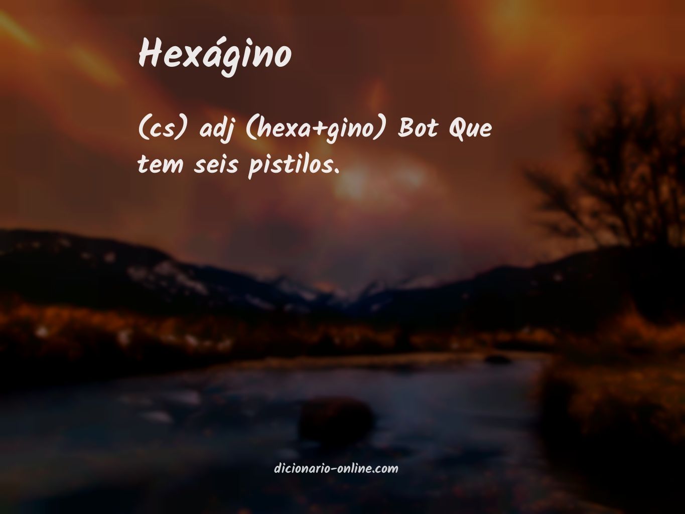 Significado de hexágino