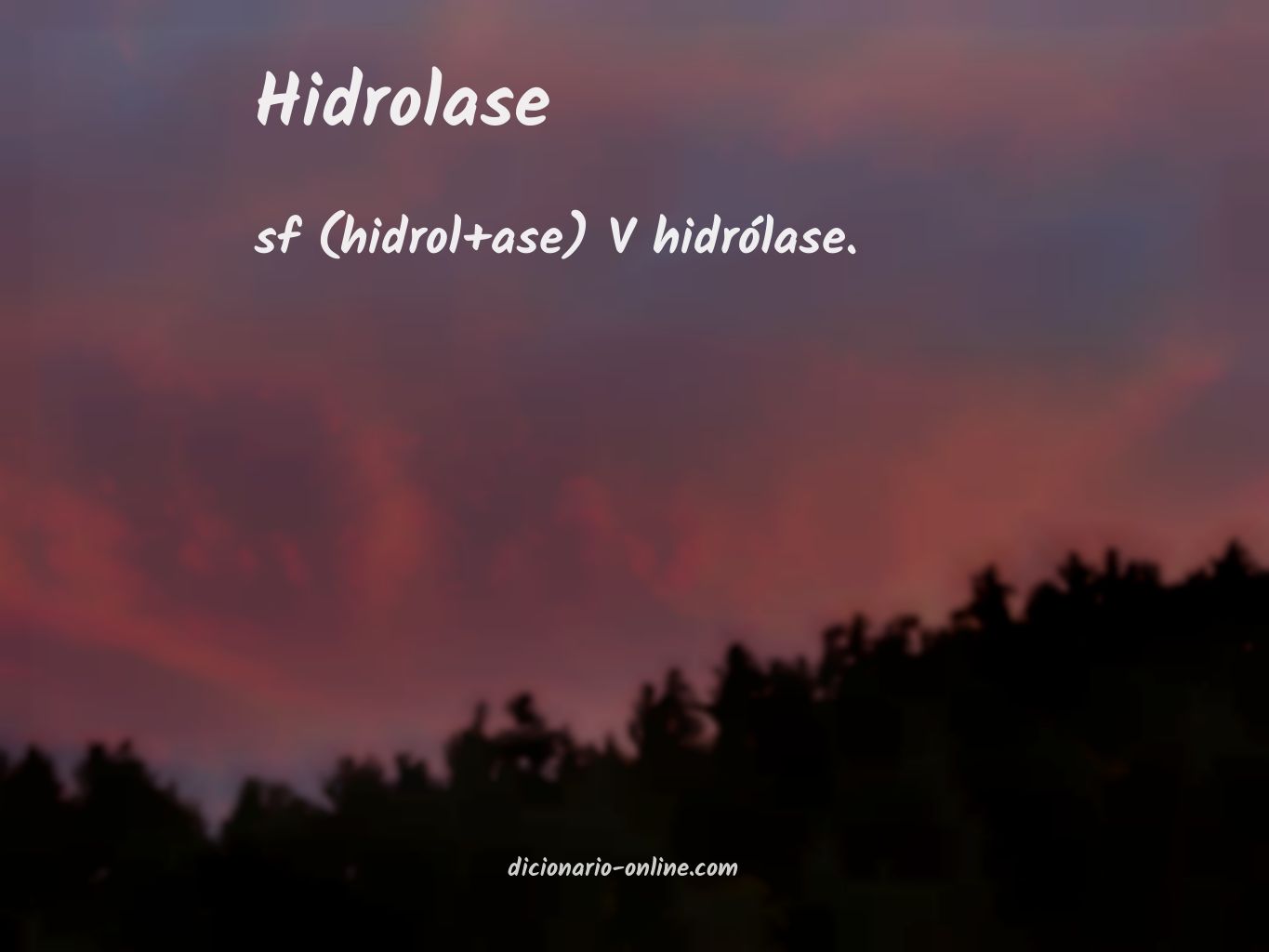 Significado de hidrolase