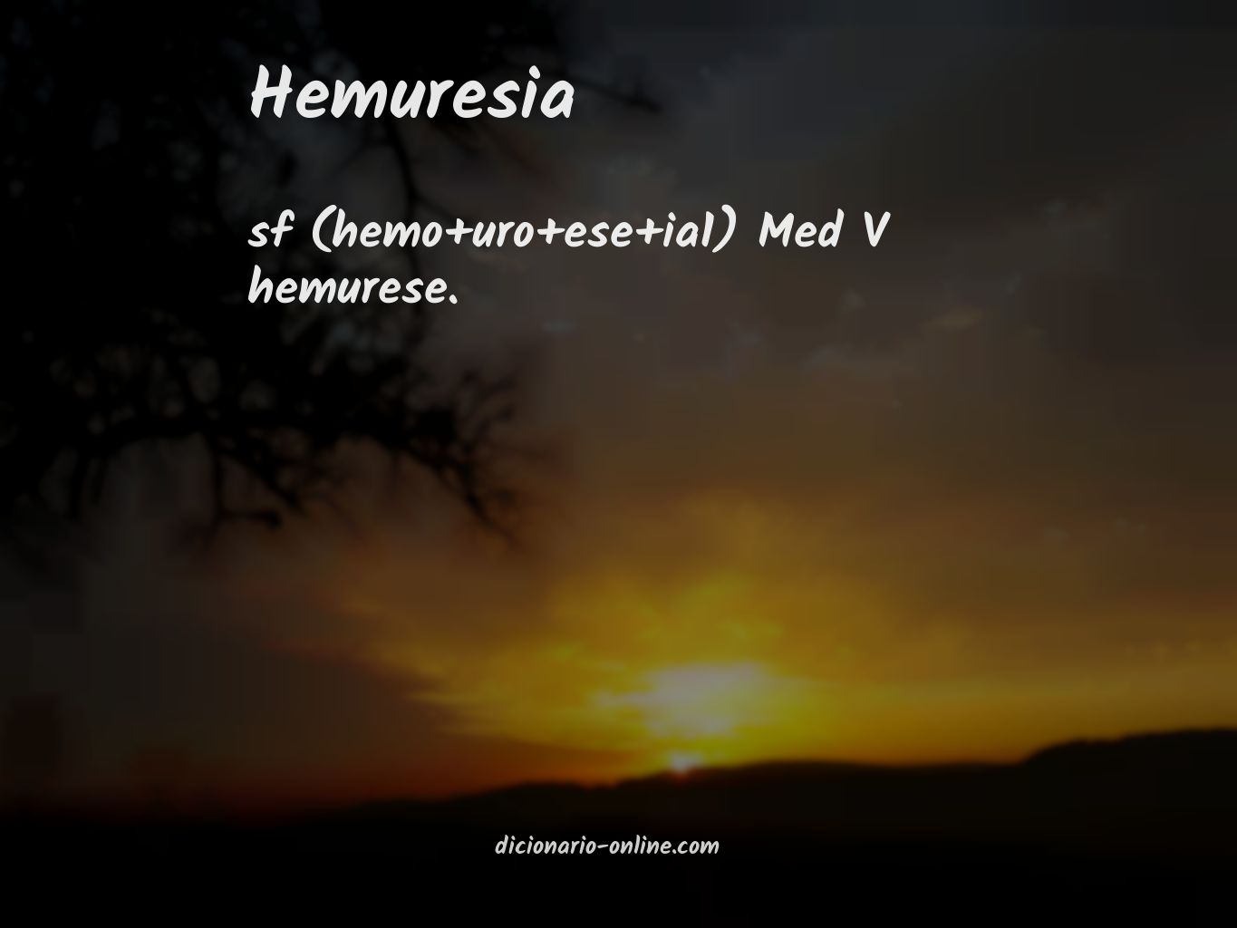 Significado de hemuresia