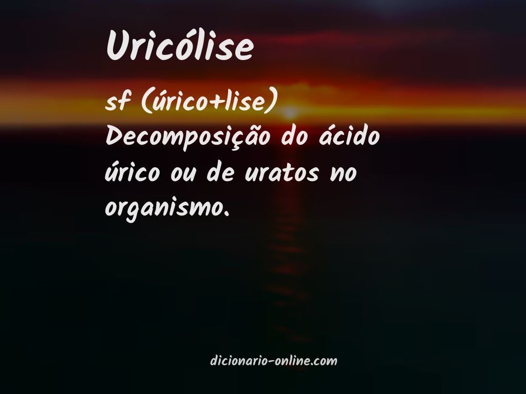 Significado de uricólise