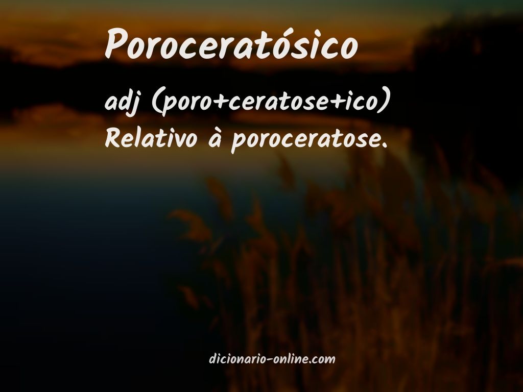 Significado de poroceratósico