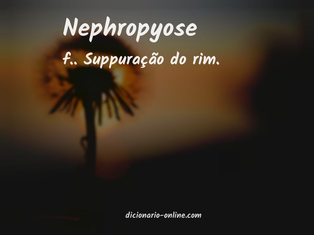 Significado de nephropyose