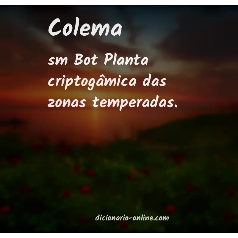 Significado de colema