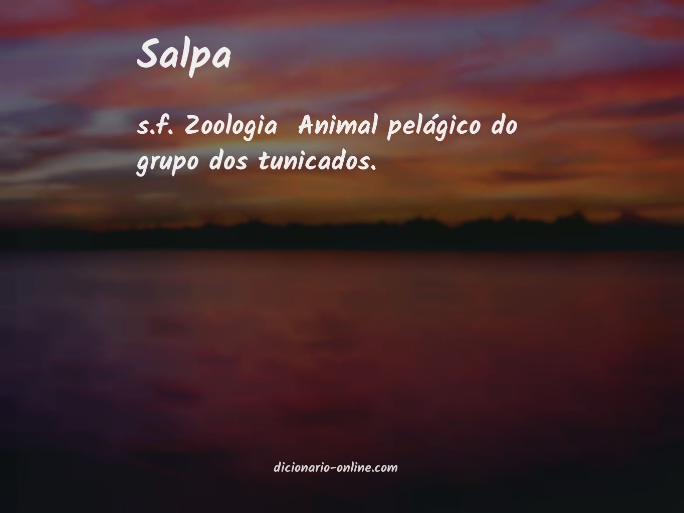 Significado de salpa