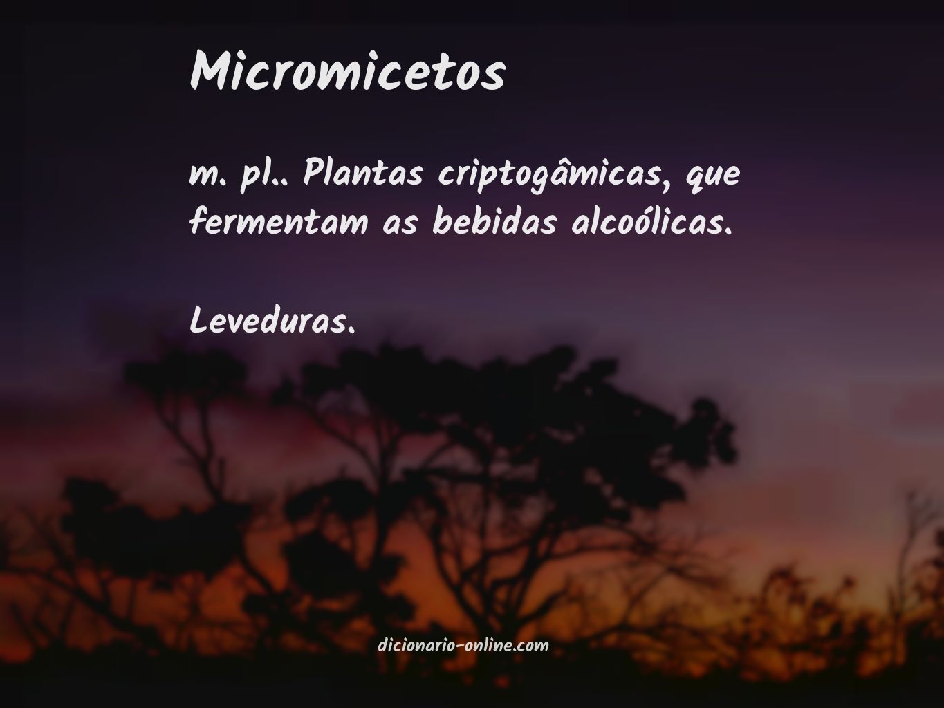 Significado de micromicetos