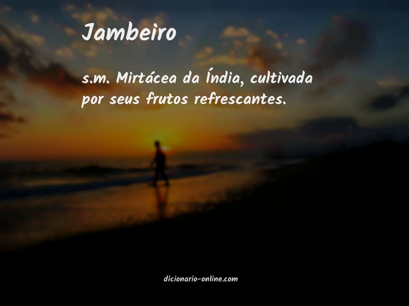 Significado de jambeiro