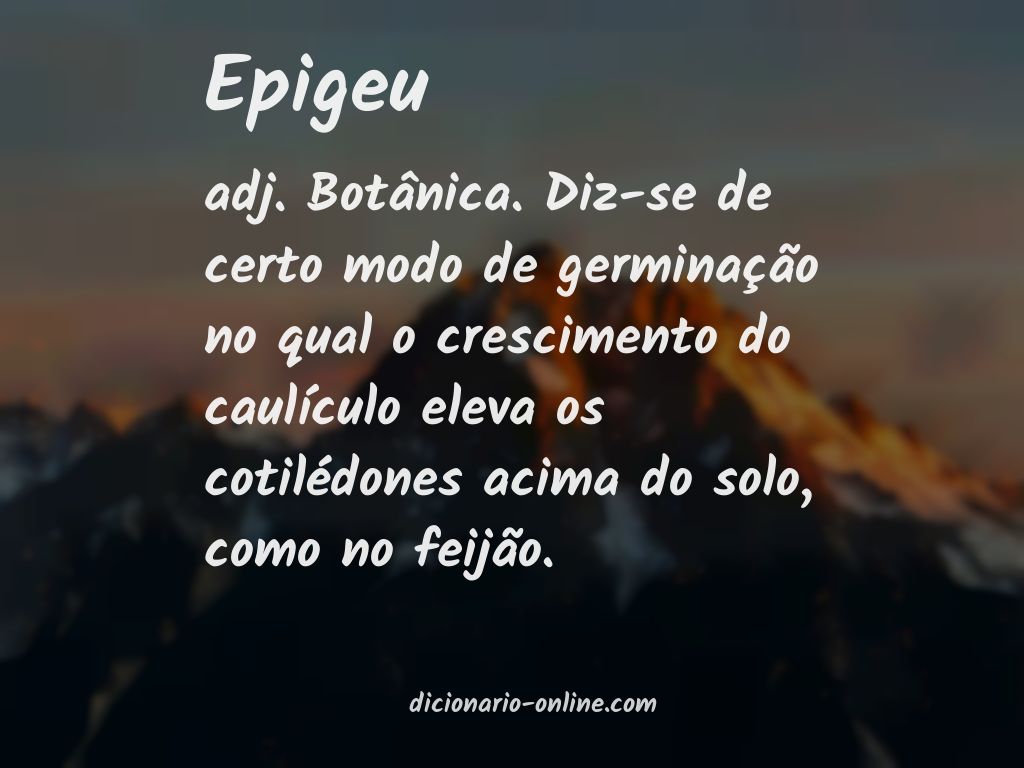 Significado de epigeu