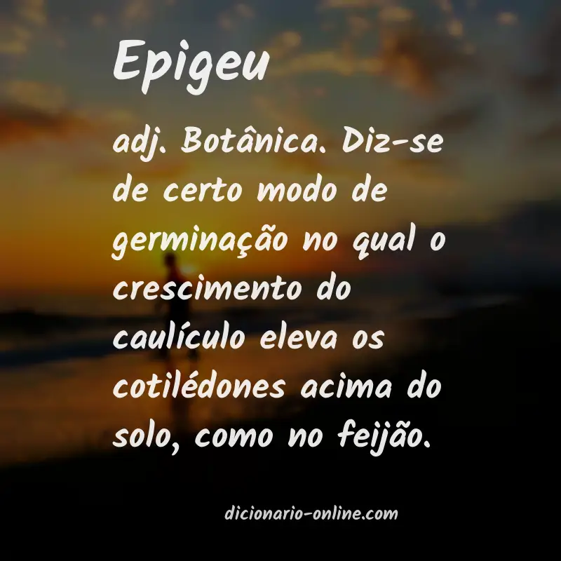 Significado de epigeu