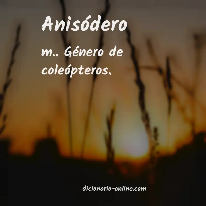 Significado de anisódero