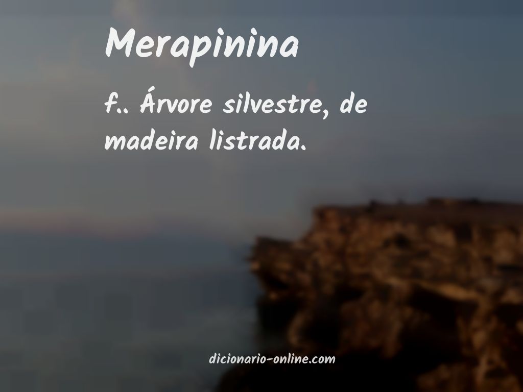 Significado de merapinina