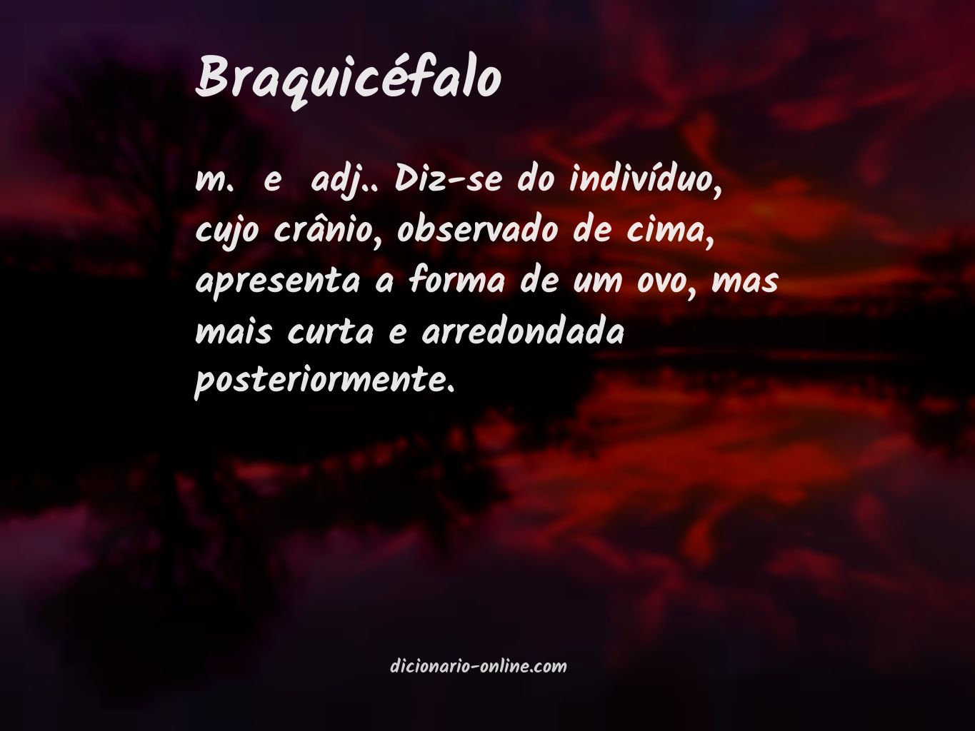 Significado de braquicéfalo