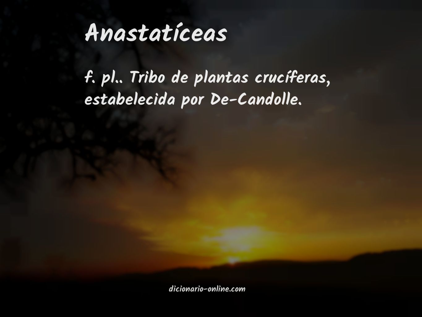 Significado de anastatíceas