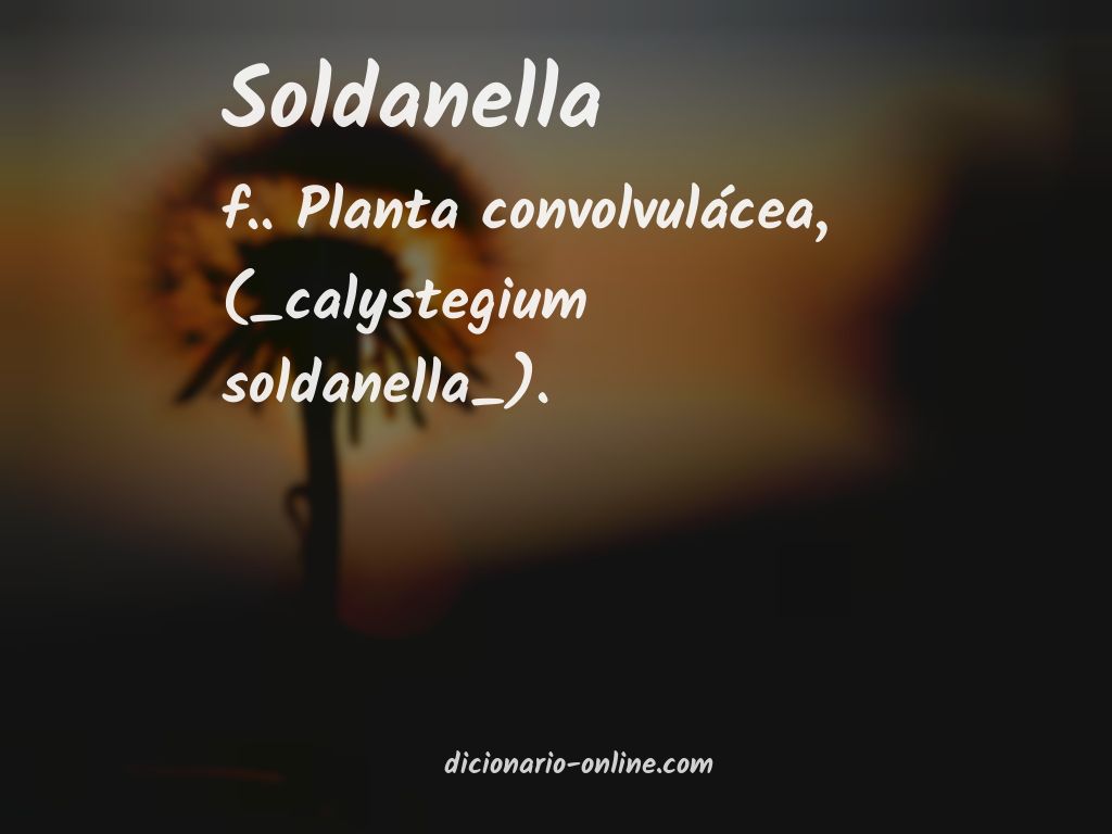 Significado de soldanella