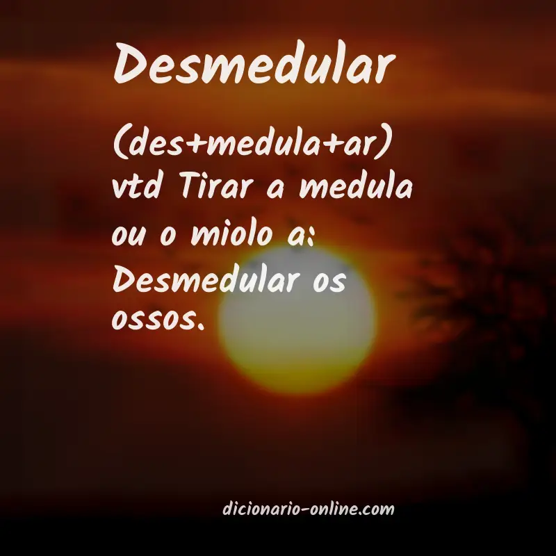 Significado de desmedular
