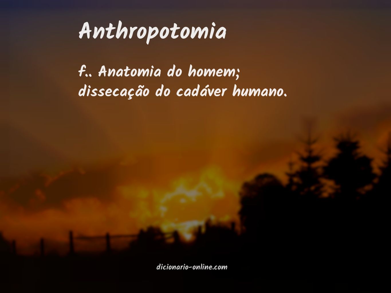 Significado de anthropotomia