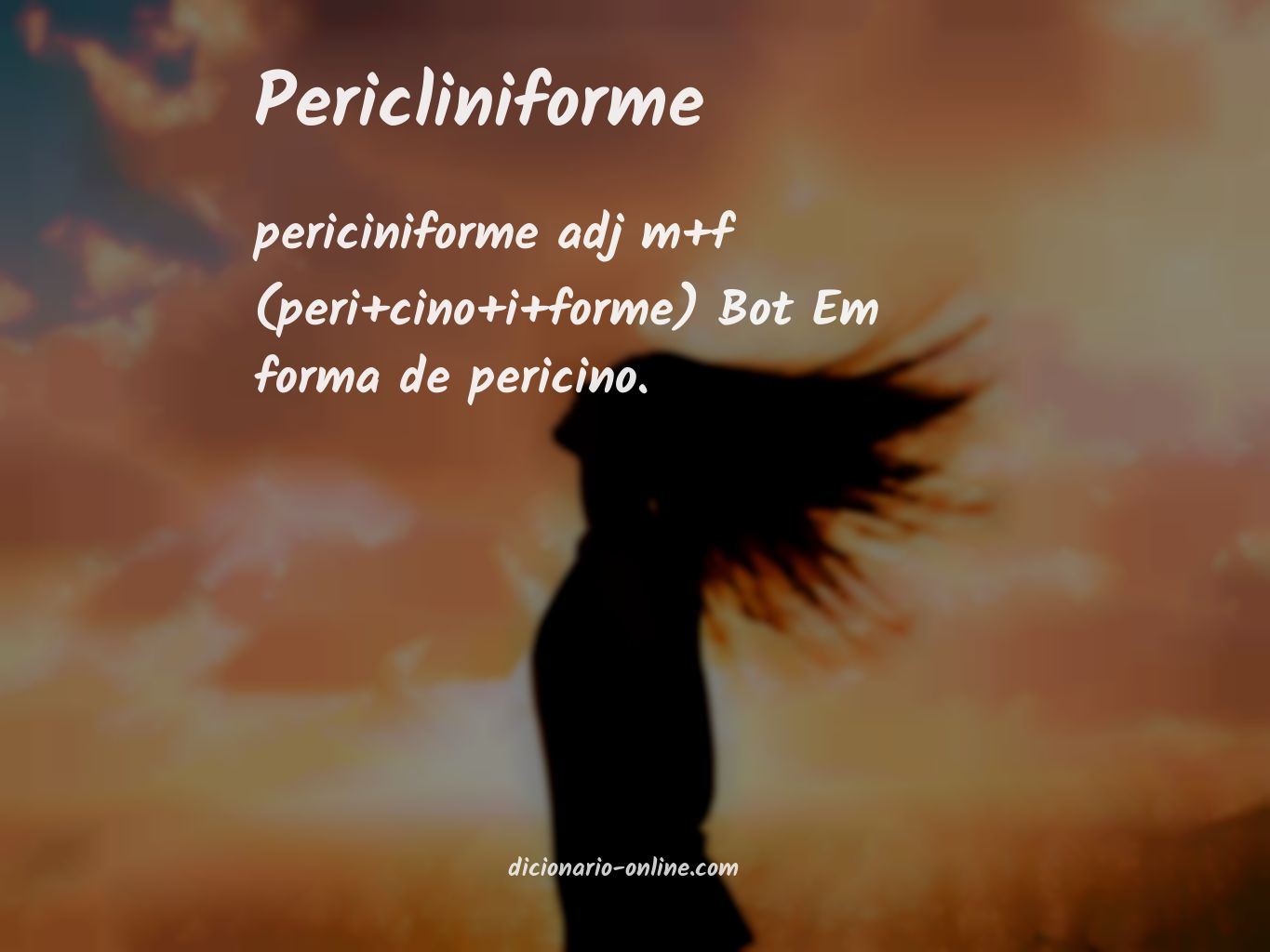 Significado de pericliniforme