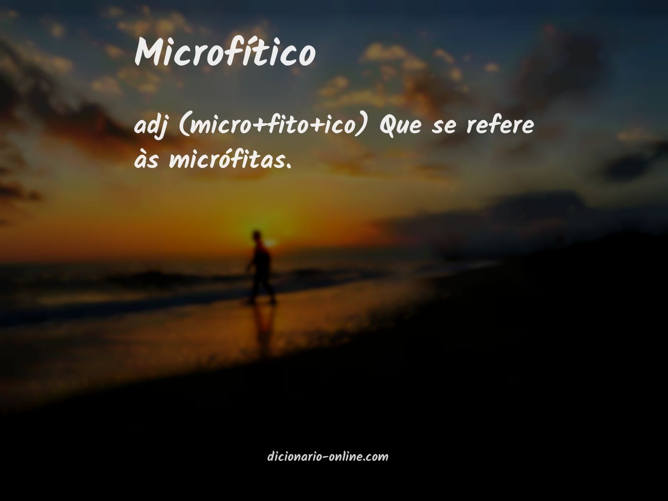 Significado de microfítico