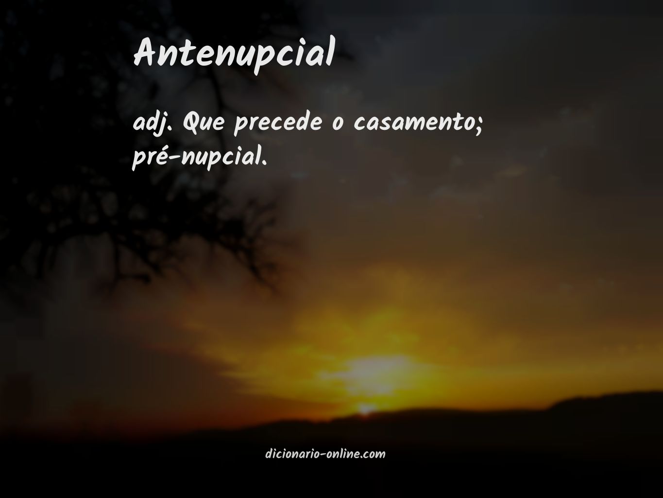 Significado de antenupcial