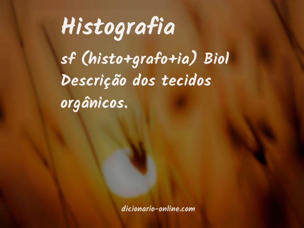 Significado de histografia