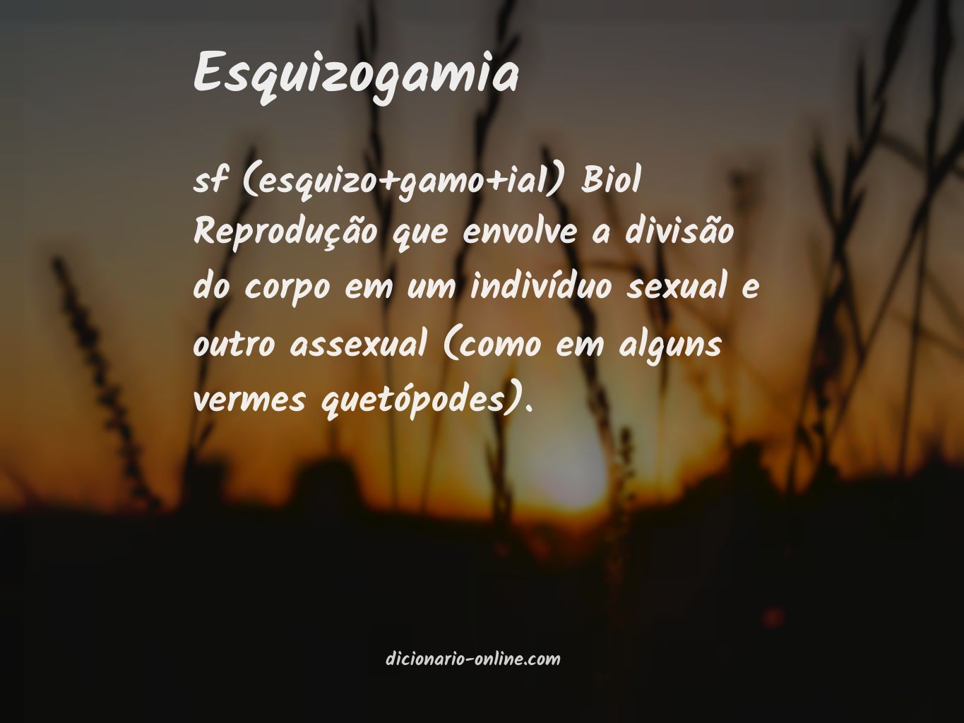 Significado de esquizogamia