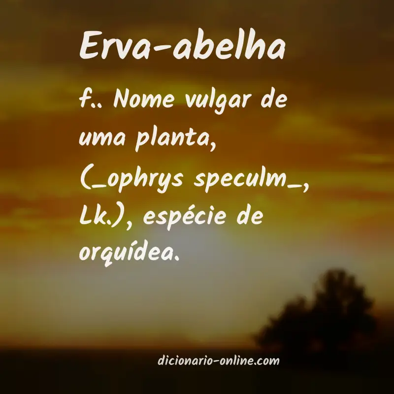 Significado de erva-abelha
