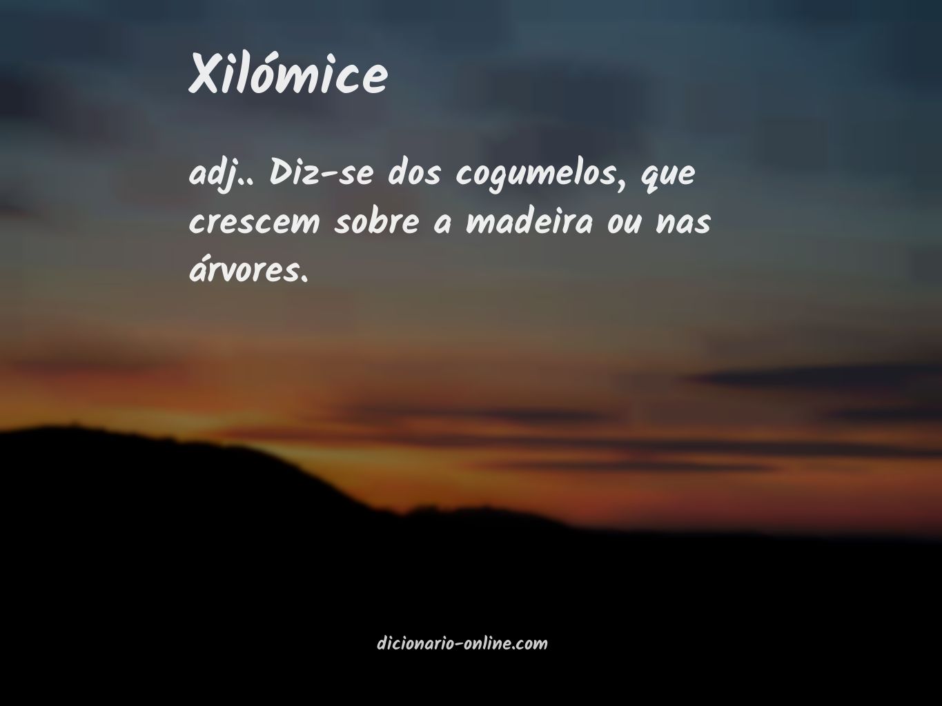 Significado de xilómice